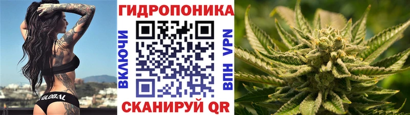 Бошки марихуана OG Kush  как найти наркотики  Иноземцево 